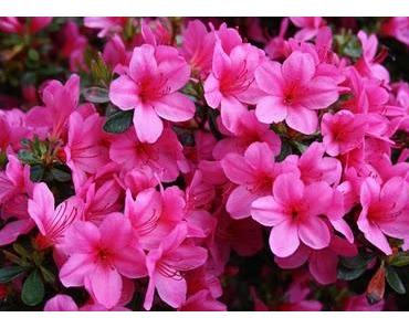 Was Du heute kannst besorgen, verschiebe nicht auf morgen!