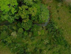 Weltweit erstes Aufforstungsprojekt folgt WWF-Empfehlungen für Meta Standard bei CO2-Waldprojekten