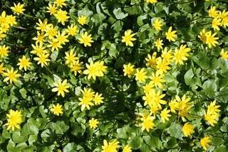 Wenn ihr das Glück finden wollt