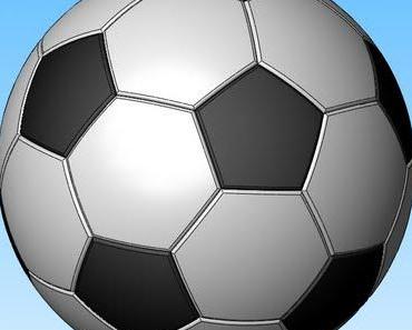 Tagebuchnotizen DAS ESELSKIND - Fußballweltmeisterschaft 1966 in England