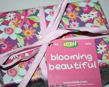 Mein Paket von Mrs. Kontroletti