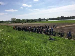 Gemüsegarten – die Eröffnung