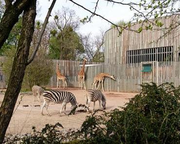 Frühling im Zoo Dresden