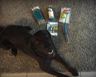 Gonzo testet … – Tchibo Hundeaccessoires