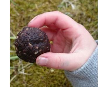 Schokoladige Raw Bites