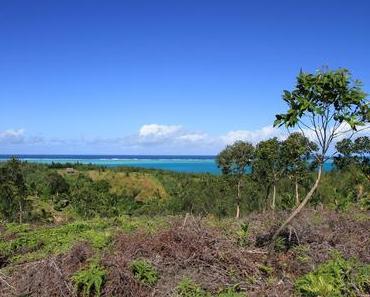 Karthala Trekking – Teil 4