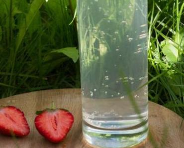 Erfrischender Waldmeister-Zitronensirup – refreshing woodruff ald lemon syrup