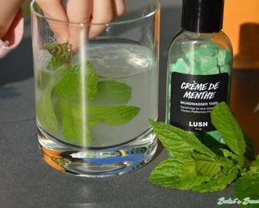 [Review] – LUSH Crème de Menthe Mundwasser Tabs: