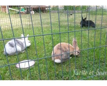 Vorsichtiges Beschnuppern  - oder kannst du mein Freund sein?