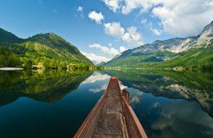 Vom See auf den Teller – Fische aus Wildfang