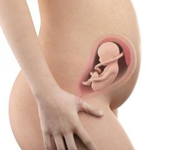 26. SSW (Schwangerschaftswoche): Dein Baby, dein Körper, Beschwerden und mehr