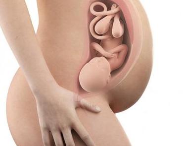 38. SSW (Schwangerschaftswoche): Dein Baby, dein Körper, Beschwerden und mehr