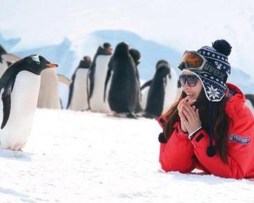 Eine Schiffreise in die Antarktis – erleben Sie es persönlich!