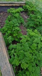 Was Leckeres zur kalten Jahreszeit