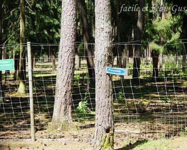 Damwild im Faberpark