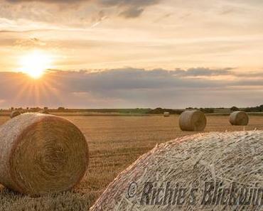 Richie´s Blick auf die Welt #Fotografie #Bilder #Heimat