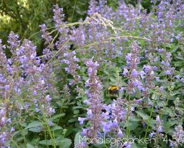 Monatsgedanken April & Mai