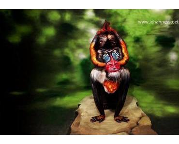 Mandrill: Neues Bodypainting-Video von Johannes Stötter