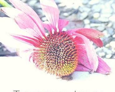 Trennungsschmerz: 5 Songs zum Trösten bei schwerem Liebeskummer