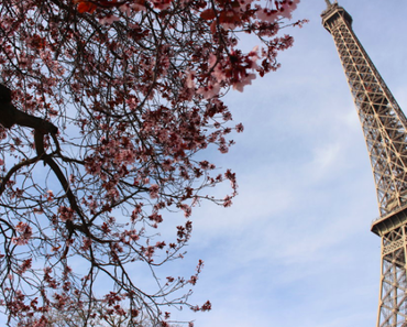 mehr Erfolg Follower und Likes bei Instagram - Bettinas Fotografieschule Teil 2: Instagram und Diagonalen