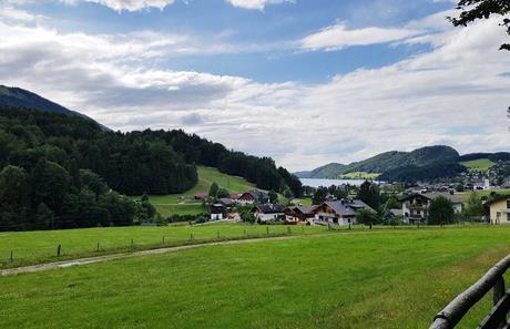 Sommerrodeln in Fuschl und der Waldkletterweg in Faistenau