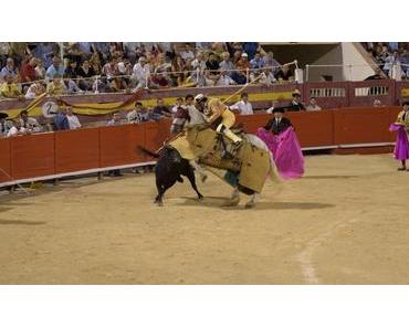 Neue Art der Stierliebe