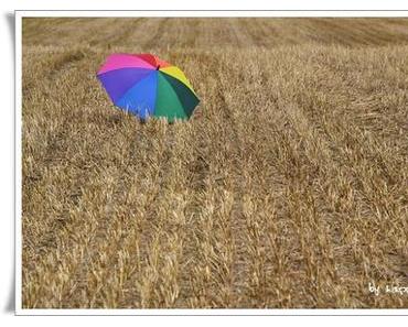 Ist es denn schon Herbst?