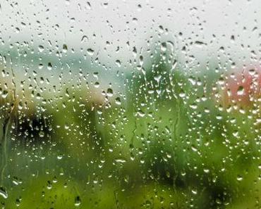 Tag des Regens – der amerikanische Rain Day