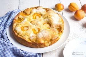 Aprikosenkuchen – ein Klassiker für den Sommer