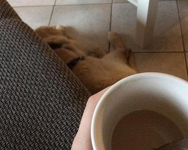 Unser Wochenende in Bildern – 05./06. August