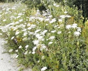 Mit Bewegung ins Wohlfühlplus