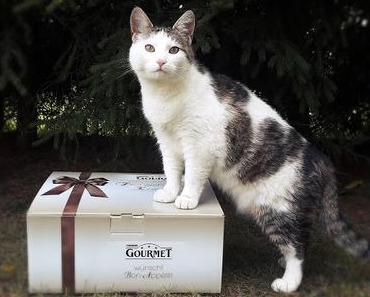 Katzenherzen schlagen höher: GOURMET geht wieder auf große Genusstour (Werbung inklusive Gewinnspiel)