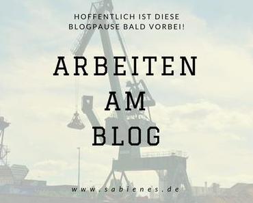 Arbeiten am Blog in der Sommerpause und meine großen Pläne