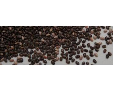 Chia – Das Power-Food