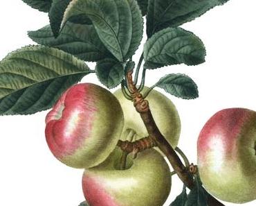 VEGAN muß nicht teuer sein!