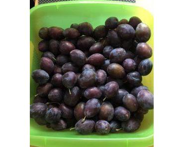 [Rezept] Pflaumenkuchen