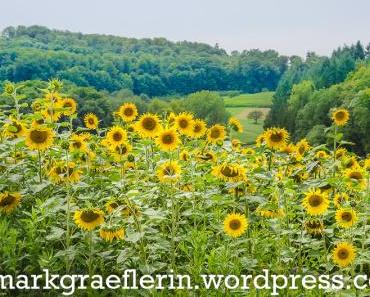 wallpaper-1689754