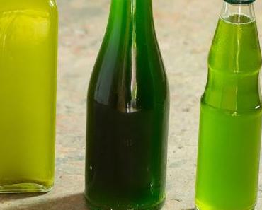 Dillblütenöl, selbst gemacht