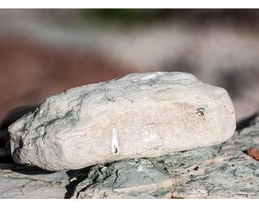 Sammel-Steine-Tag – der amerikanische National Collect Rocks Day