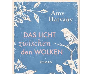 [Neuzugang] Das Licht zwischen den Wolken von Amy Hatvany