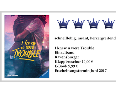 Rezension: I knew u were Trouble von Kami Garcia