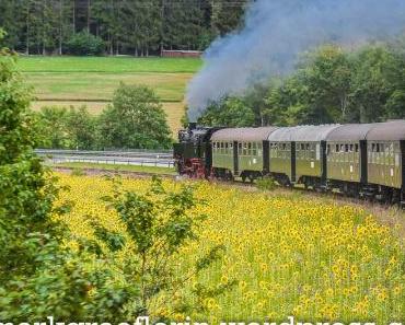 Eine Fahrt mit der Sauschwänzlebahn
