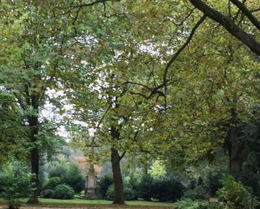 12tel-Blick im September 2017 – oder – Die Baumkronen werden lichter