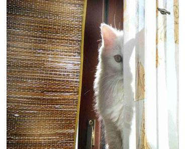 Erzähl doch mal ...