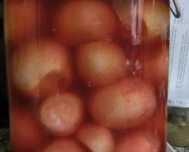 Fermentierte Radieschen