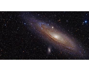 Der Hype um die universale Resteverwertung