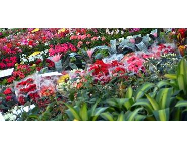 „Día de todos los santos 2017“