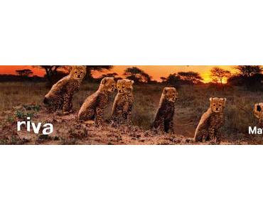 Matto Barfuss – Maleika