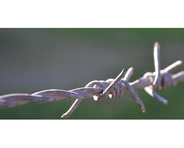 Mann verfängt sich in Stacheldrahtzaun