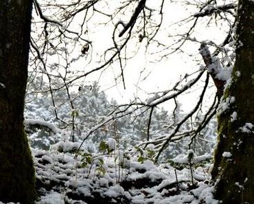 #Wochenende {Schnee}